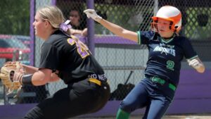 WSS Softball Falls To Casey-Westfield In Class 1A Sectional Finals